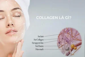 Collagen là chất gì?