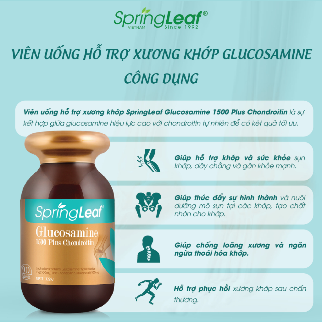 Bo xuong khop Glucosamine 1500 Plus Chondroitin Spring Leaf1