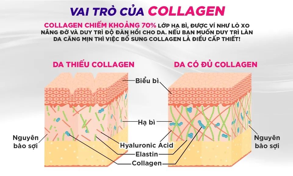 Nuoc uong Collagen DHC Nhat Ban3
