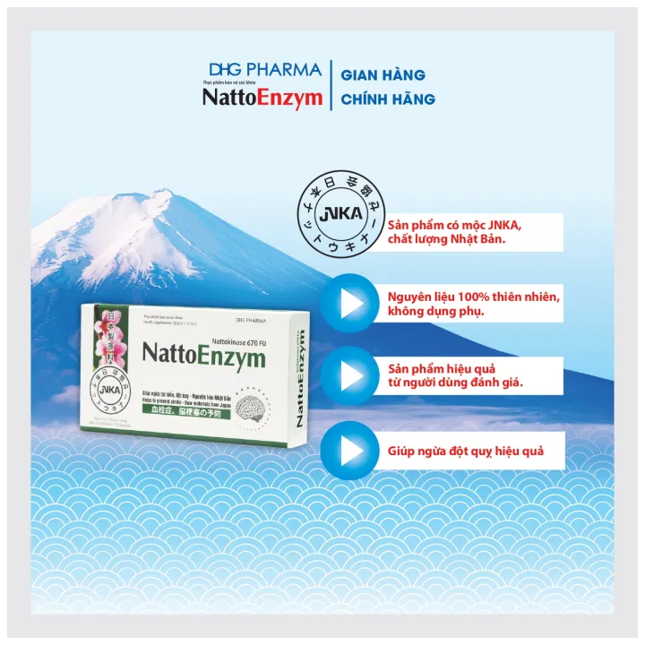 TPCN NattoEnzym DHG Pharma3