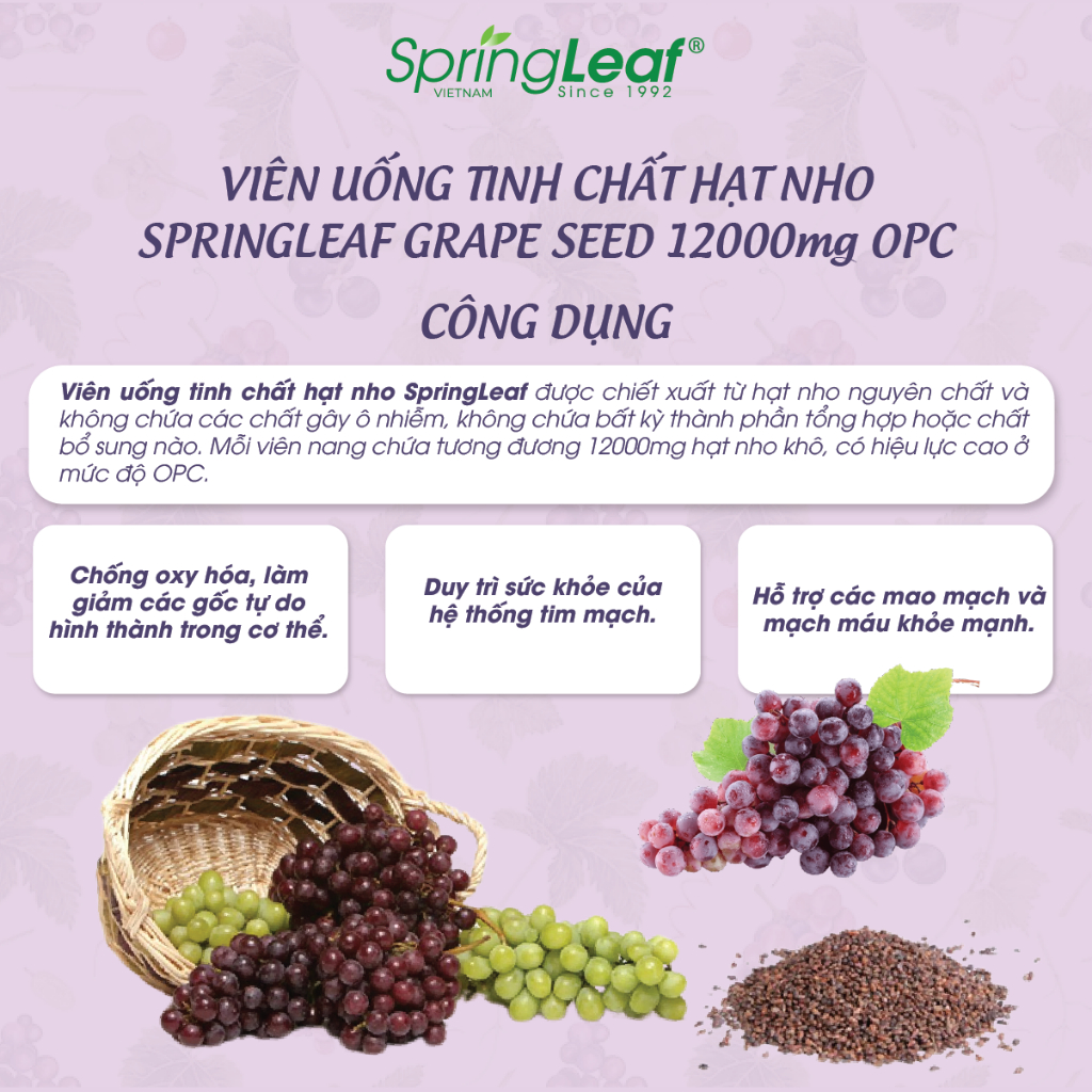 Tinh chat hat nho Grape Seed 12.000mg OPC Spring Leaf1