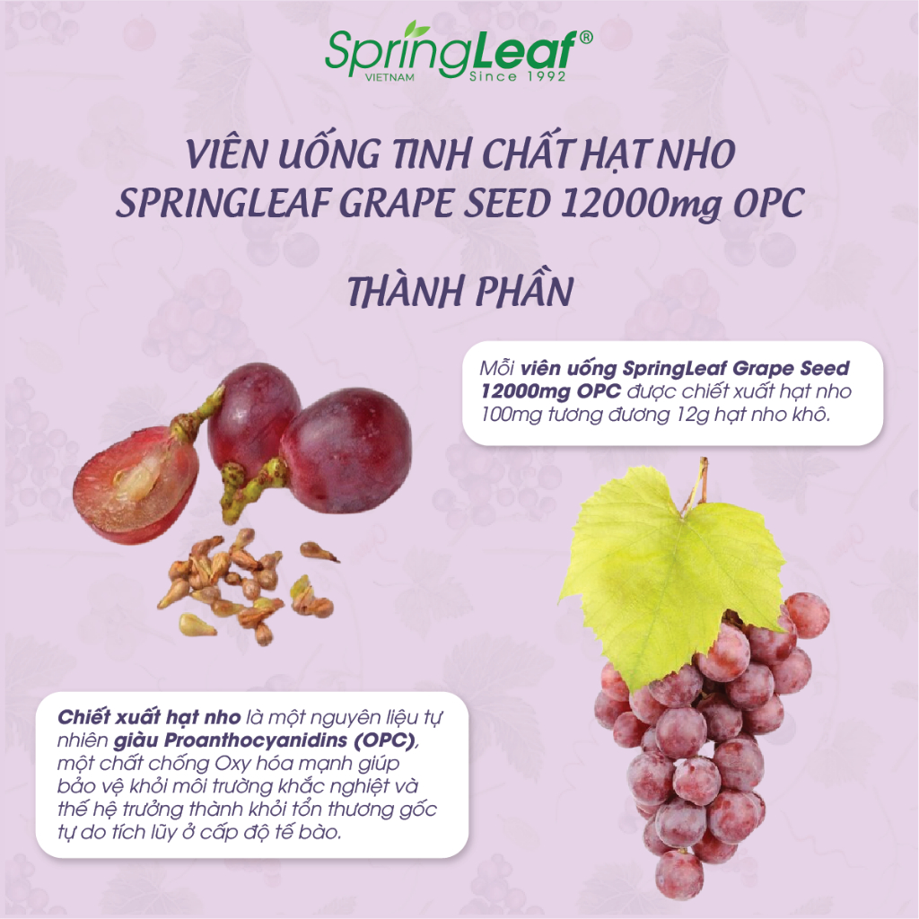 Tinh chat hat nho Grape Seed 12.000mg OPC Spring Leaf2