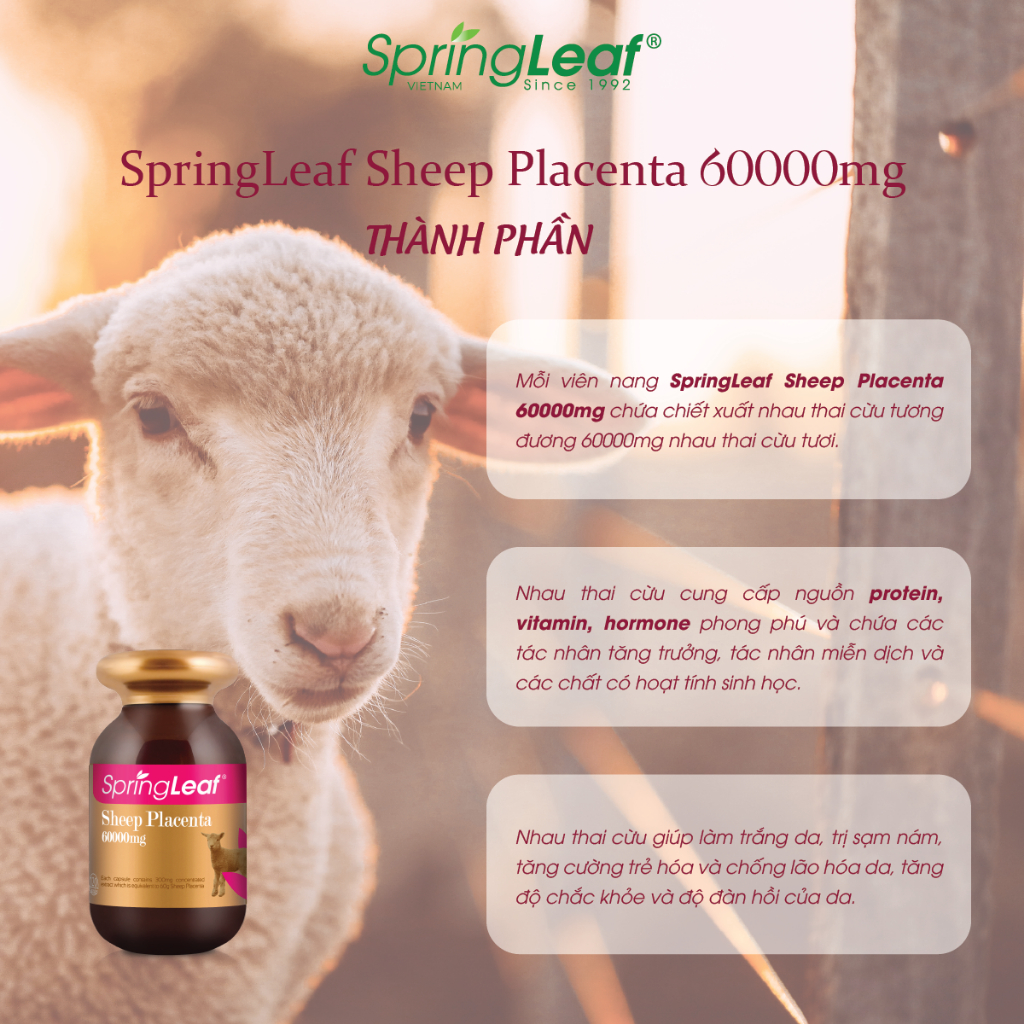 Vien uong nhau thai cuu Sheep Placenta 60000mg Spring Leaf1