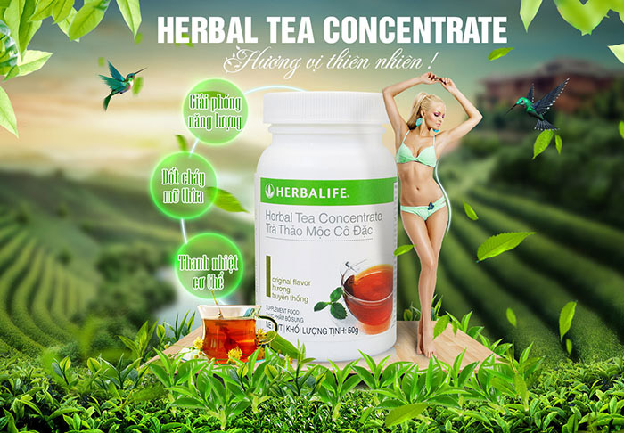 TRA THAO DOC CO DAC HERBALIFE HUONG CHANH HERBAL TEA CONCENTRATE LEMON NATURAL FLAVOR2