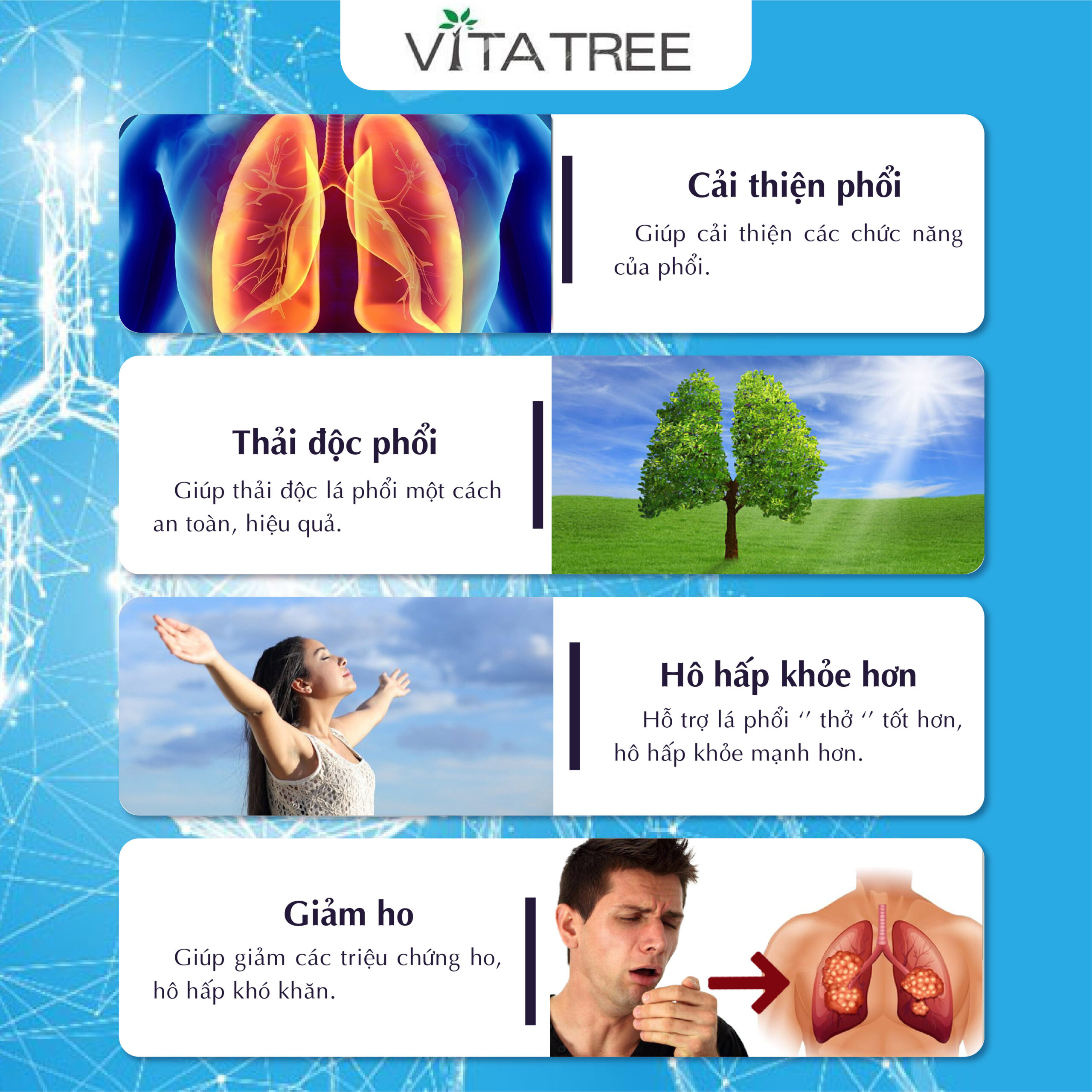 Thai doc phoi Vitatree Lung Detox2 scaled