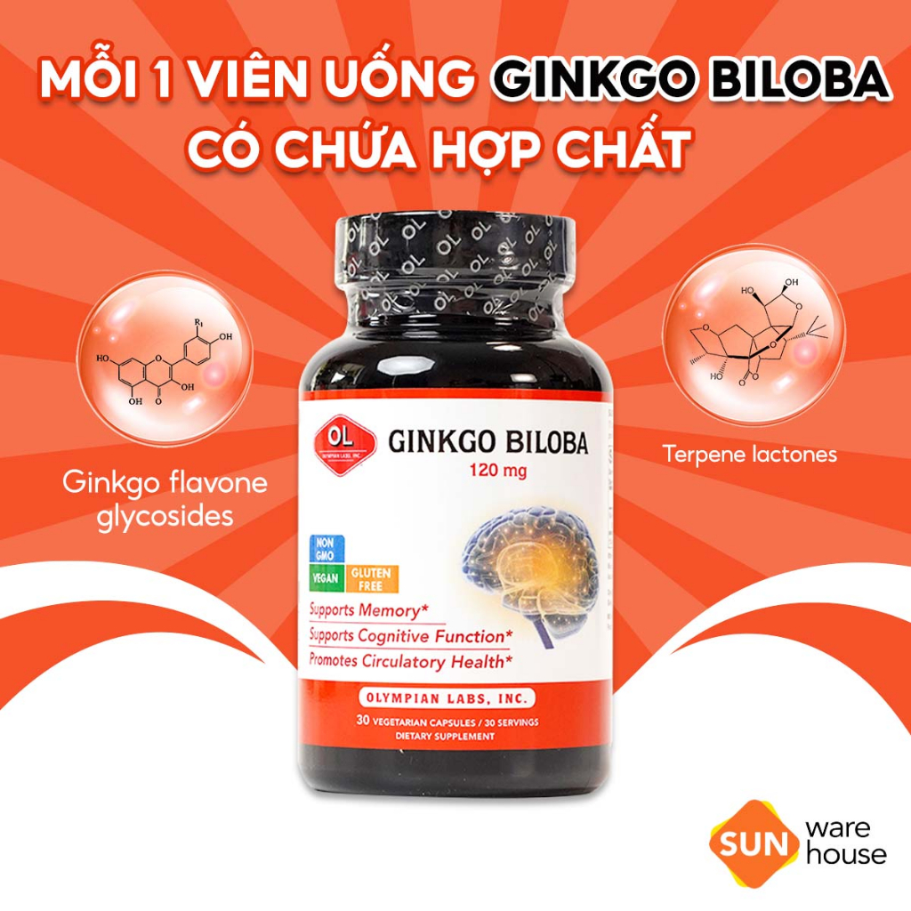 Vien Uong Bo Nao Olympian Labs Ginkgo Biloba1