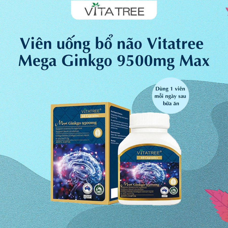 Bo nao Vitatree Mega Ginkgo 9500mg